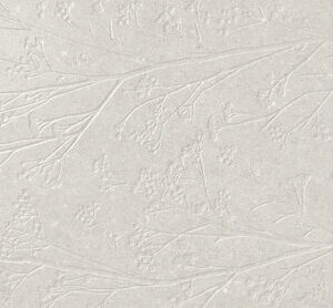 DIVINE WHITE RECT 60X120