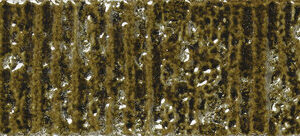 QUIRKY ARMY GREEN 6,4X26