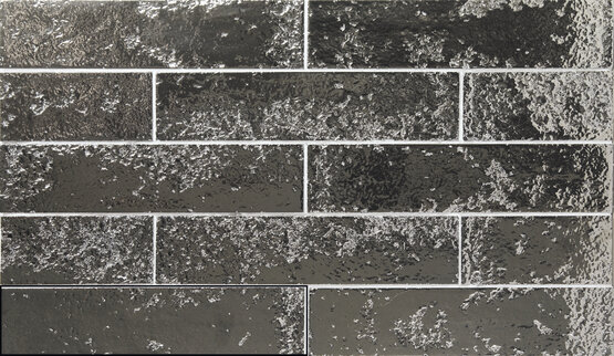 KOI SILVER 6,4X26 - Ảnh 7