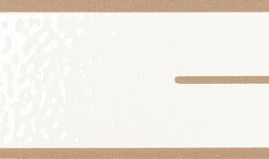 MIES EMPTY COTTO 5X15