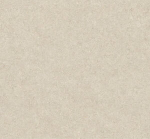 IWA BONE RECT 60X120