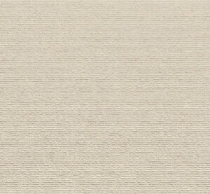 ISEN BONE RECT 60X120