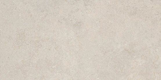 KYOTO TAUPE RECT 60X120