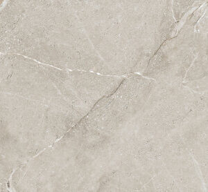 COLEMANITE STONE GREY RECT 60X120