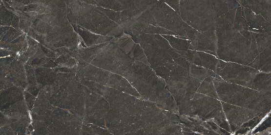 COLEMANITE STONE DARK RECT 60X120