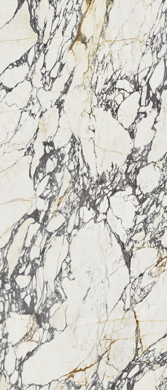 CALACATTA CORCHIA GOLD POL RECT 120X280