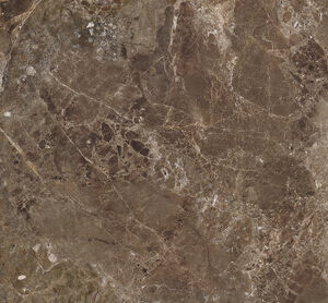 IMPERIAL BROWN POL RECT 60X120