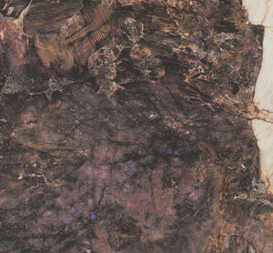 MAGALLANES PINK POL RECT 60X120