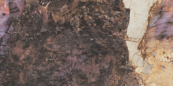 MAGALLANES PINK POL RECT 60X120