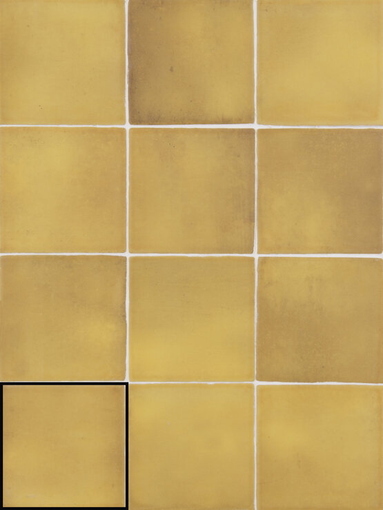 ISPAL HONEY 10X10 - Ảnh 8