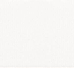 BISELADO BLANCO BRILLO 7,5X15