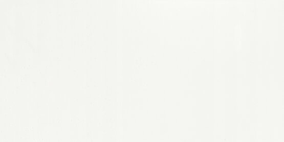 ALL WHITE MATT RECT 30X60