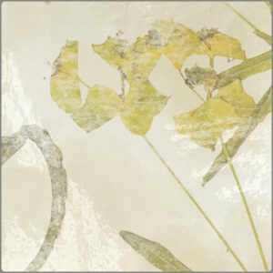 KASBAH OCRE MIX 13X13