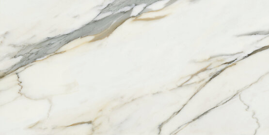 CALACATTA BORGHINI POL RECT 60X120