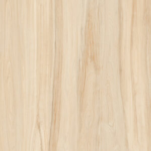 Gạch Ash maple Slabstone 120x240 SM19D122