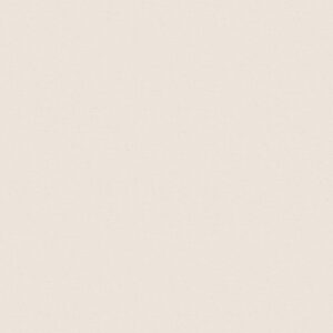 Gạch Sand Slabstone 120x240 SP51D122