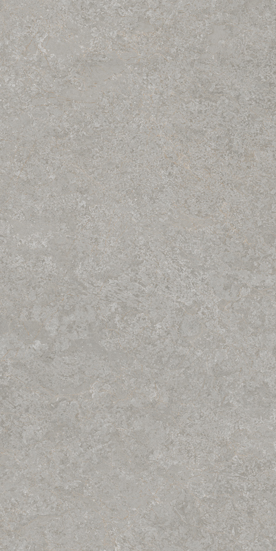 Gạch Kanjini Slabstone 120x240 SP07D122 - Ảnh 2