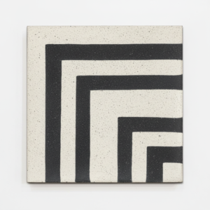 Gạch bông vuông 10x100 mm [4 V1010C-001