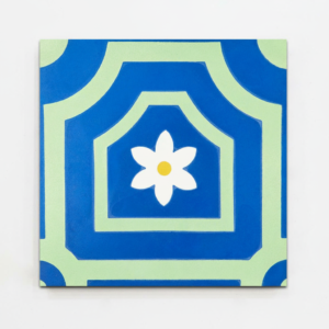 Gạch bông vuông 20x20 V20-1076-F01