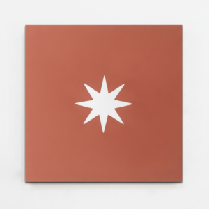 Gạch bông vuông 20x20 V20-1170