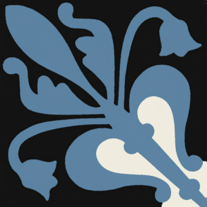 Gạch bông vuông 20x20 V20-370-T02