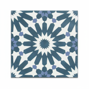 Gạch bông vuông 20x20 V20-395-T02