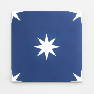 Gạch bông vuông 20x20 V20-423-T02