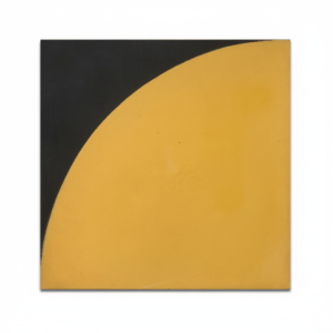 Gạch bông vuông 20x20 V20-443-T01