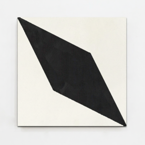 Gạch bông vuông 20x20 V20-480-T01