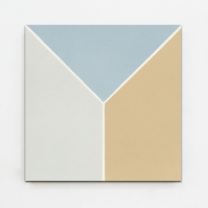 Gạch bông vuông 20x20 V20-530-F04