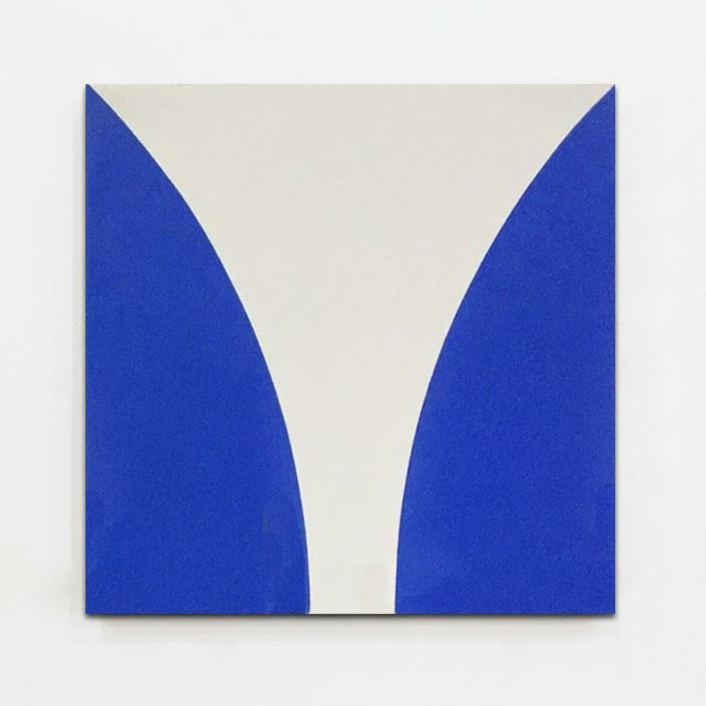 Gạch bông vuông 20x20 V20-807