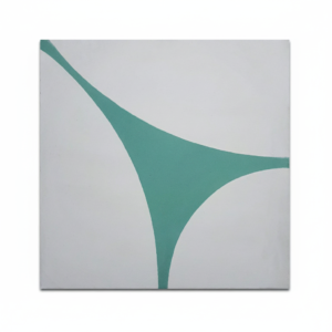 Gạch bông vuông 20x20 V20-952-T03