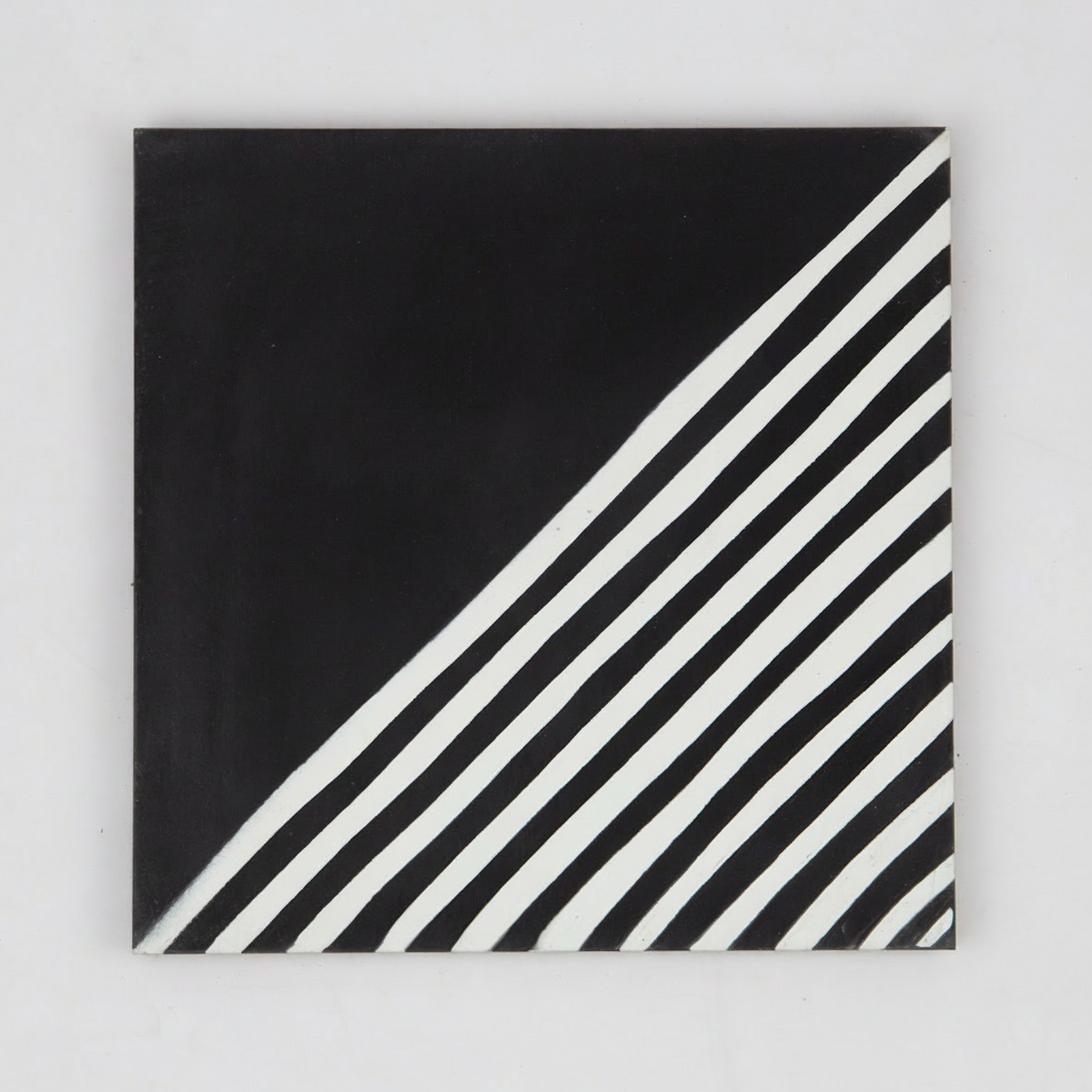 Gạch bông vuông 20x20 V20-976