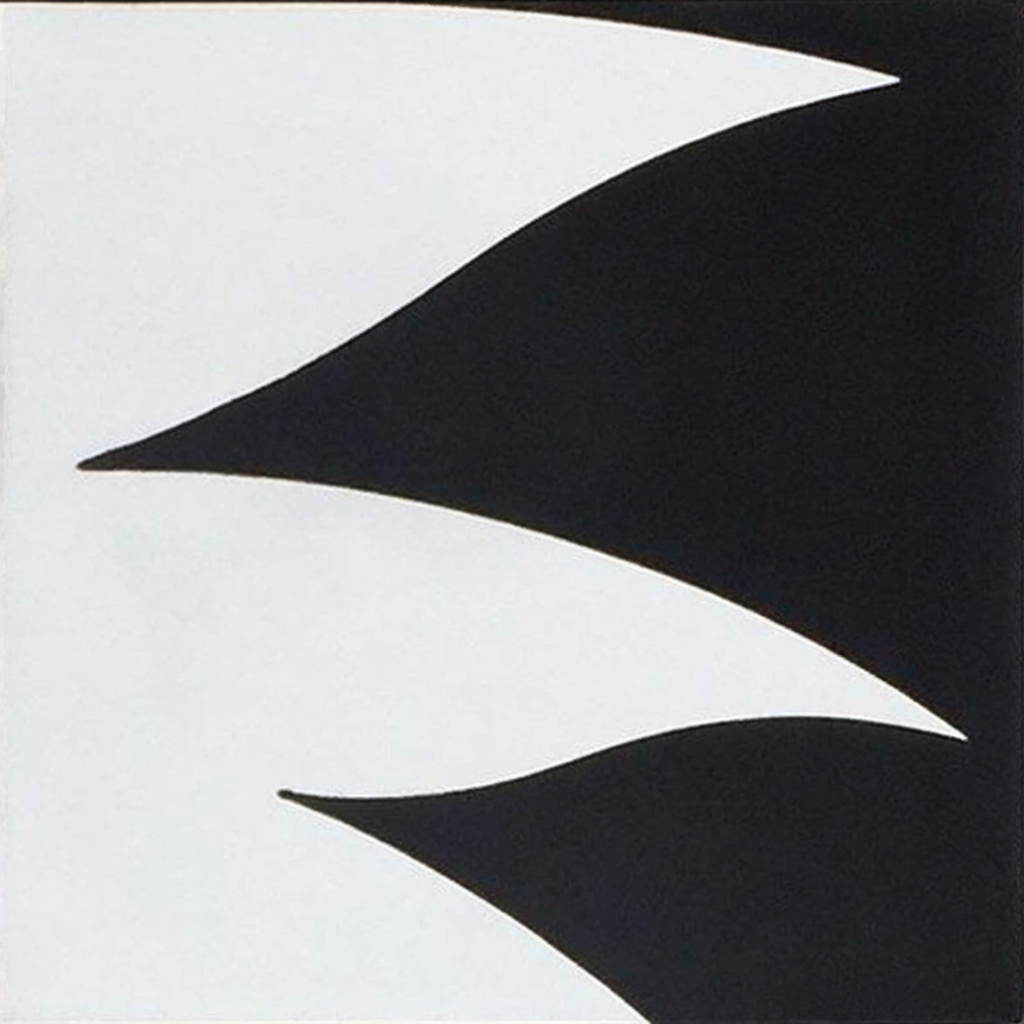 Gạch bông vuông 25x25 V25-004 - Ảnh 3