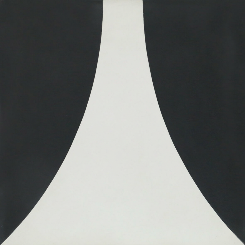 Gạch bông vuông 30x30 V30-80