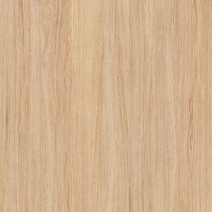 Gạch Lát nền Ý Mỹ 50x50 Y5061M