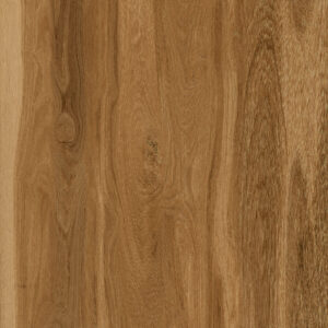 Gạch Lát nền Ý Mỹ 50x50 Y5213R