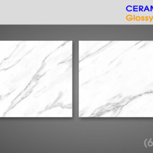 Gạch Lát nền Ý Mỹ 60x60 Y6102R