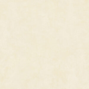 Gạch Lát nền Ý Mỹ 60x60 Y6106RM