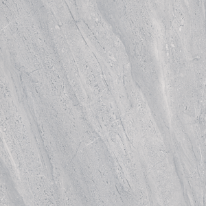 Gạch ốp lát Polish Viglacera 30x60 ECO3635