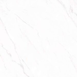 Gạch ốp lát Polish Viglacera 60x60 SH-GP606