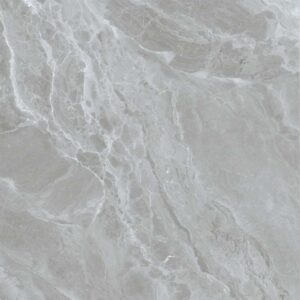 Gạch ốp lát Polish Viglacera 80x80 SH-GP801