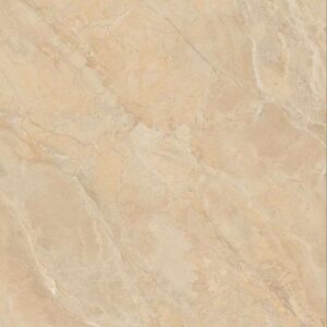 Gạch ốp lát Polish Viglacera 60x60 SH-GP607