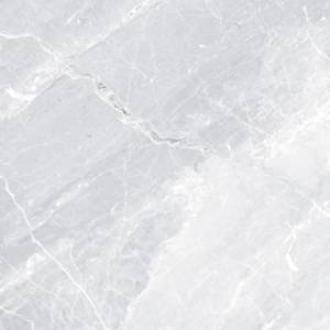 Gạch ốp lát Polish Viglacera 60x60 CB-P608