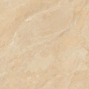 Gạch ốp lát Polish Viglacera 60x120 SH-GP61207