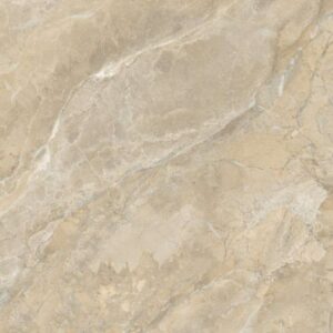 Gạch ốp lát Polish Viglacera 60x120 SH-GP61208