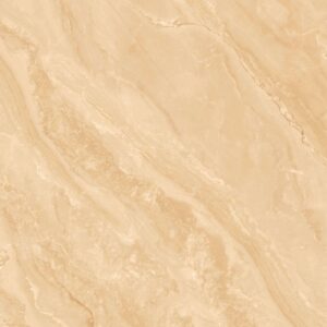 Gạch ốp lát Polish Viglacera 80x80 SH-GP802