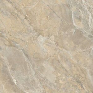 Gạch ốp lát Polish Viglacera 80x80 SH-GP808