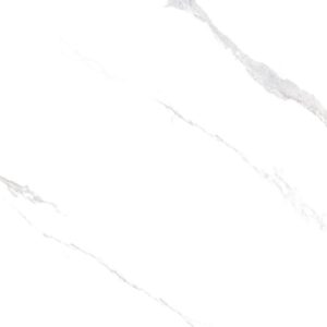 Gạch ốp lát Polish Viglacera 80x80 SH7-GP8801