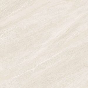 Gạch ốp lát Polish Viglacera 40x80 ECO48502